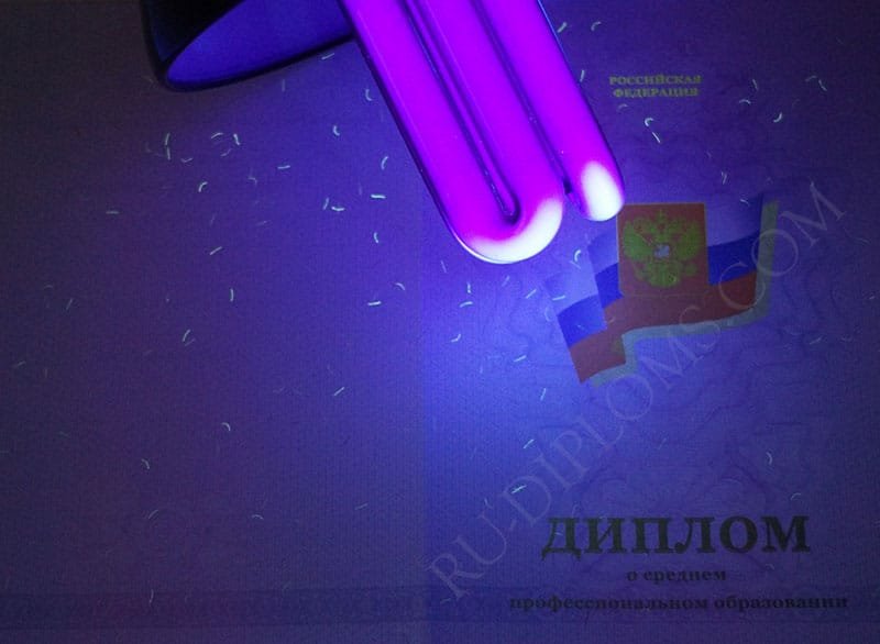 Диплом техникума или колледжа 2011-2013 год  Диплом техникума или колледжа 2011-2013 год