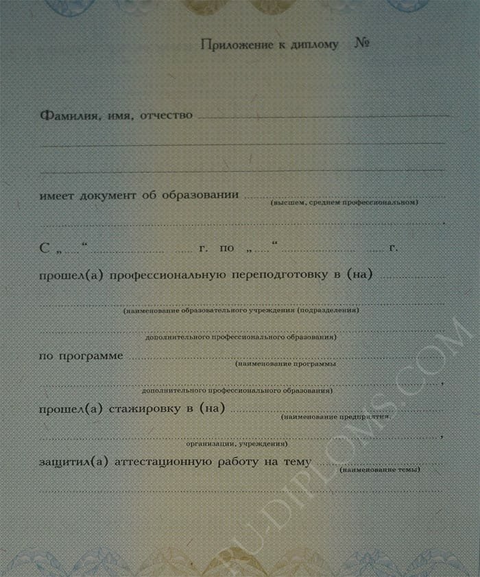 Диплом о переподготовке 2010 года  Диплом о переподготовке 2010 года