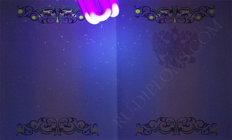 Диплом бакалавра 2010-2013 год   Диплом бакалавра 2010-2013 год